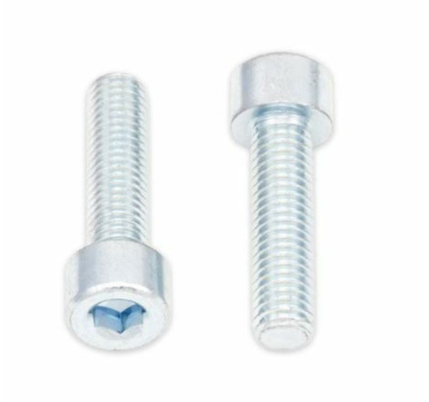 Vis CHC BOLT M8x1,25x30mm 10 pièces