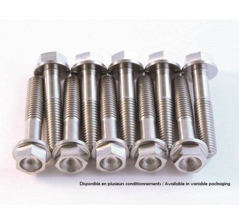 Kit vis titane SCAR M6x12 par 2