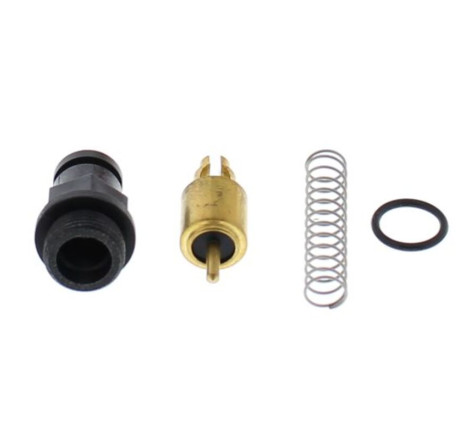 Kit plongeur de starter ALL BALLS