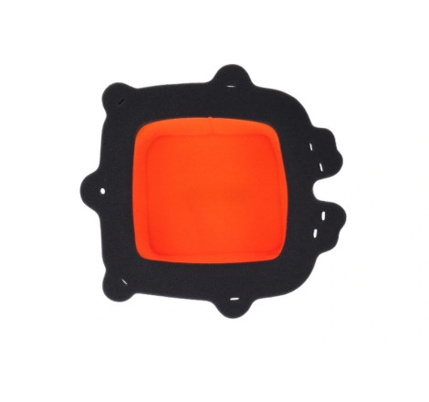 Filtre à air TWIN AIR - 158338