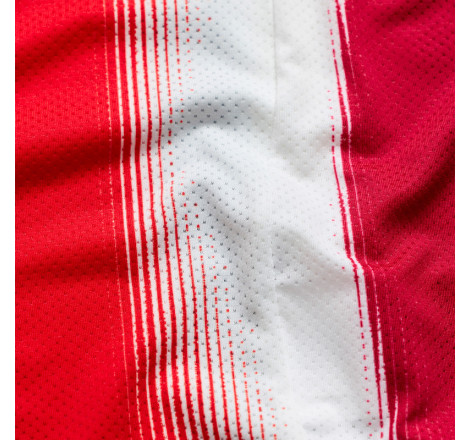 Maillot TROY LEE DESIGNS SE Pro Illusion - rouge/noir