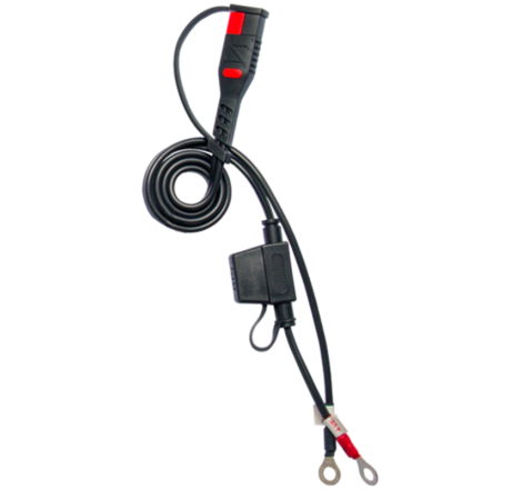 Chargeur de batterie intelligent BS BATTERY BS15 - KIT 20+3