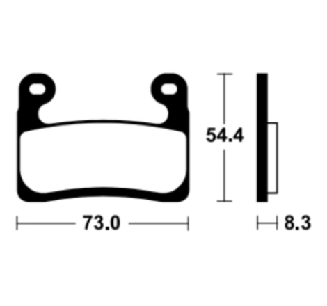 Plaquettes de frein TECNIUM Racing métal fritté - MTR460